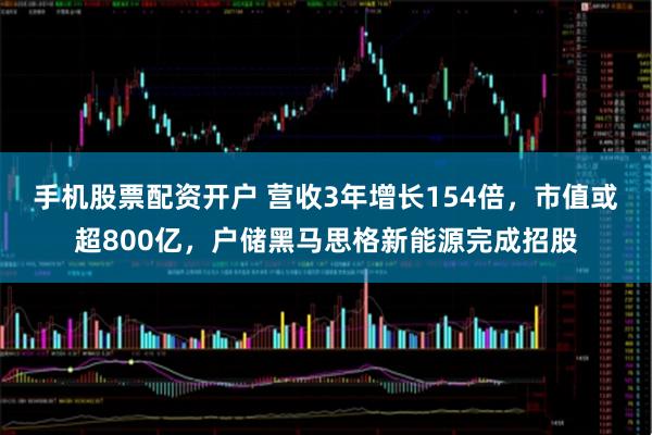 手机股票配资开户 营收3年增长154倍，市值或超800亿，户储黑马思格新能源完成招股